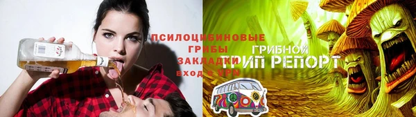 прущий лед Алзамай