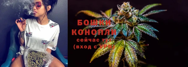 прущий лед Алзамай