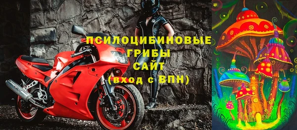 прущий лед Алзамай