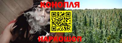 Альфа ПВП Заводоуковск