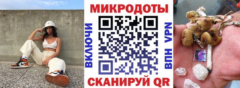 закладки  Саров  МЕГА онион  Псилоцибиновые грибы GOLDEN TEACHER 